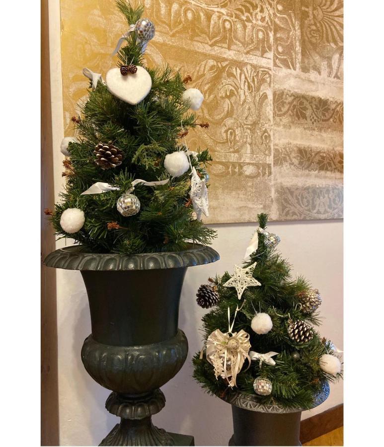 Albergo Garni Cavento 핀졸로 외부 사진